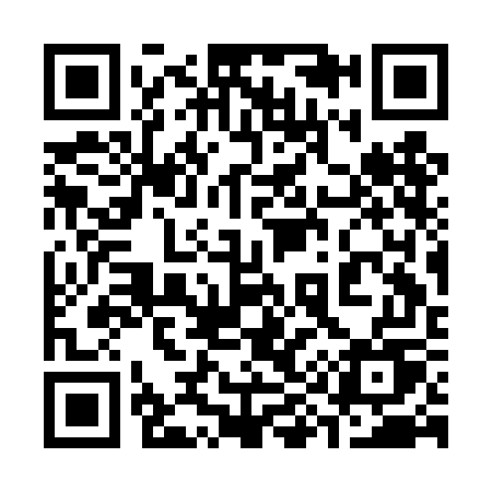 QR code for 393DGU
