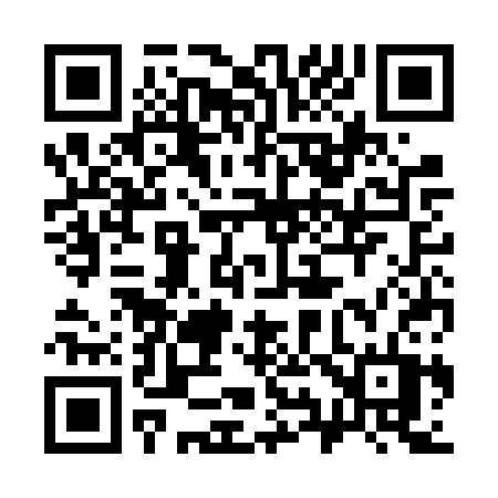 QR code for 393FST