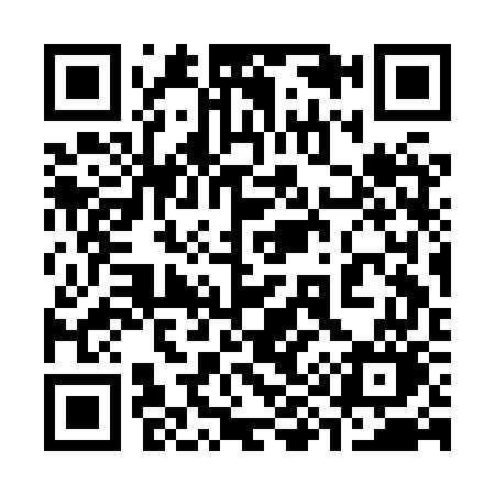 QR code for 393HWO