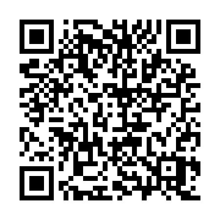 QR code for 393ICW