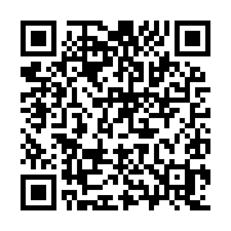 QR code for 393IYI