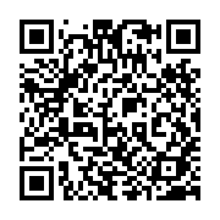QR code for 393LHI