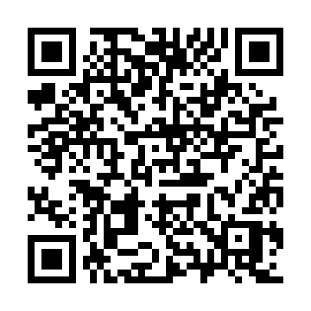QR code for 393PKR