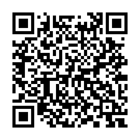 QR code for 393PYC