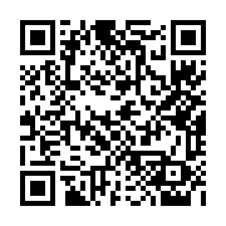 QR code for 393VFX