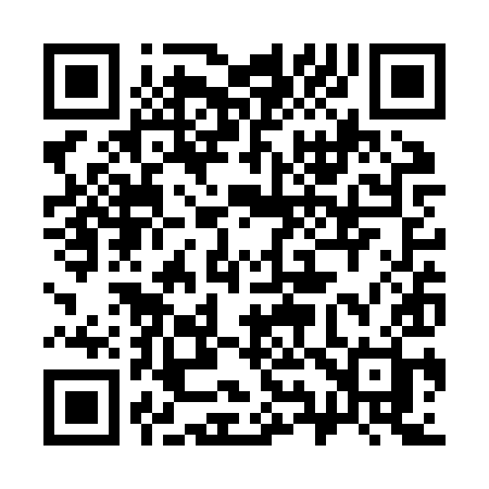 QR code for 393ZYH