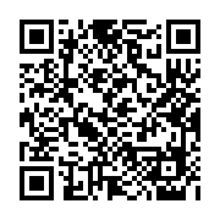 QR code for 394SDG