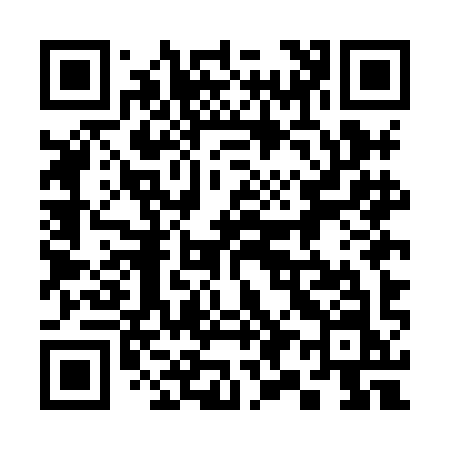 QR code for 395HIN