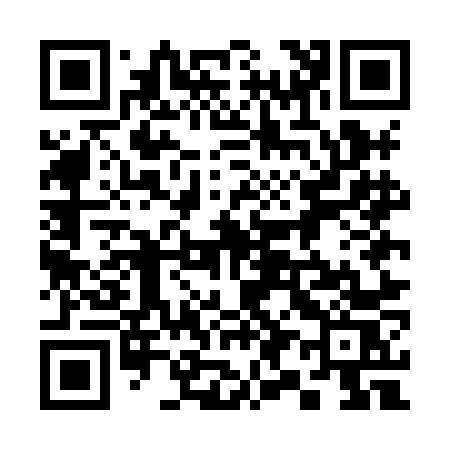 QR code for 395HNS