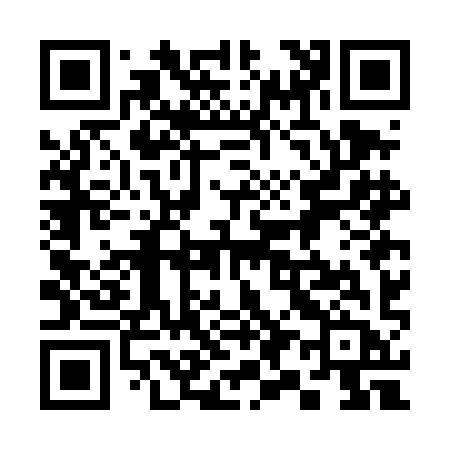 QR code for 397DIB