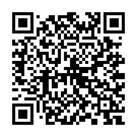 QR code for 397PLH