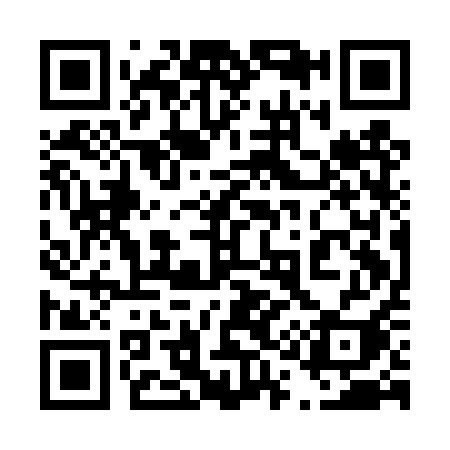 QR code for 411DQI