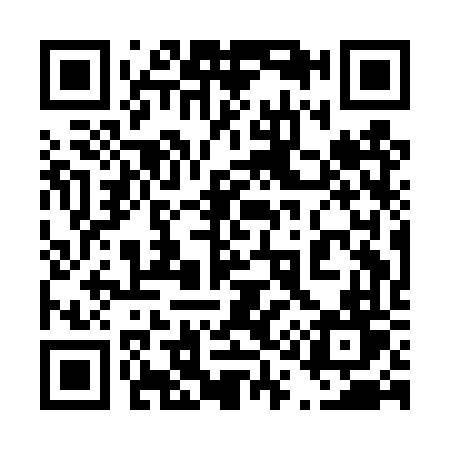QR code for 411DVT