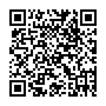 QR code for 411EMM
