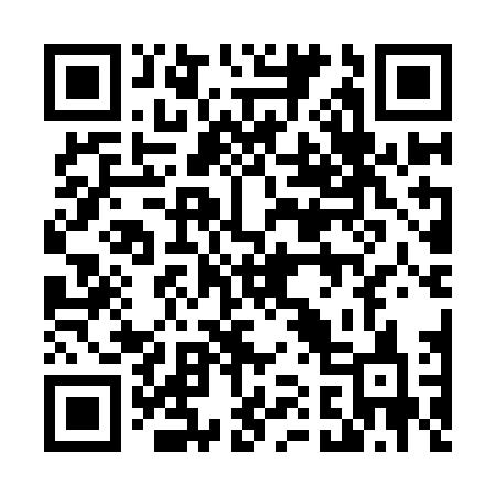 QR code for 411IDC