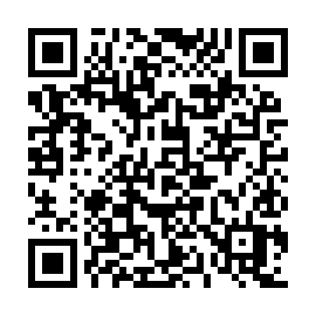 QR code for 411IYT