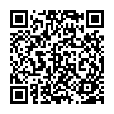 QR code for 411LUO