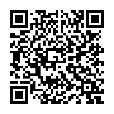QR code for 411NFT