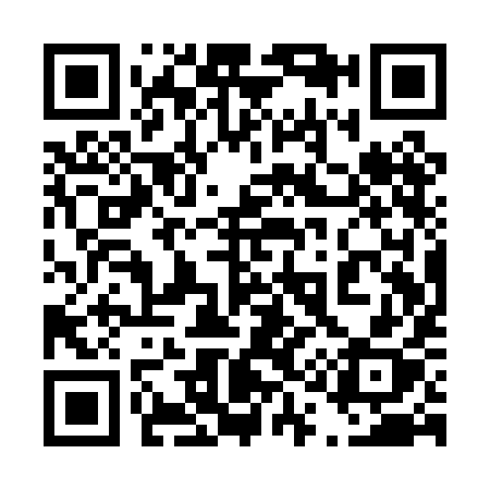 QR code for 411PIX