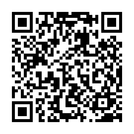 QR code for 411PSW