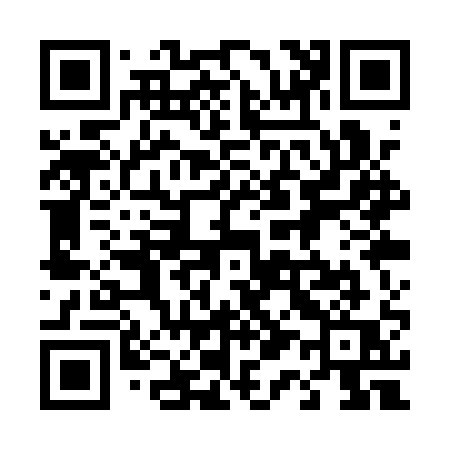 QR code for 411QQQ