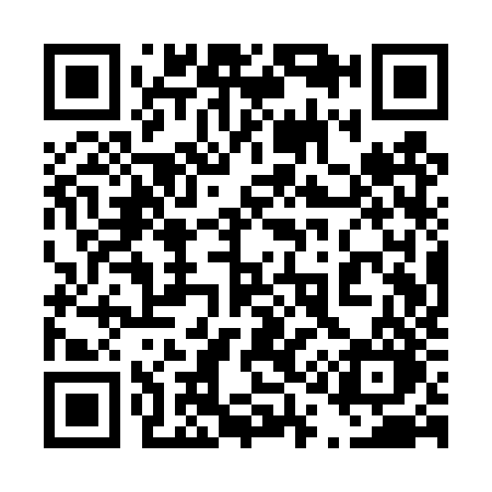 QR code for 411TZO