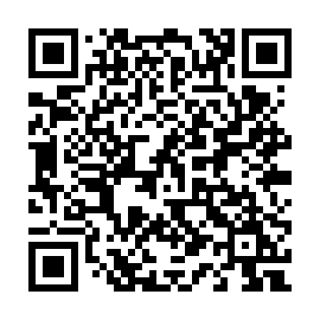 QR code for 411VPM