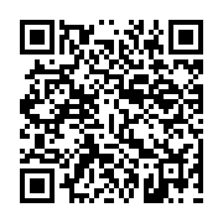 QR code for 411ZCZ