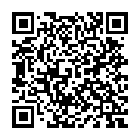 QR code for 413DZG