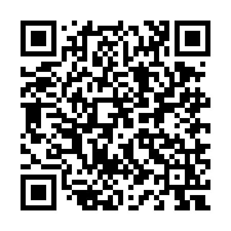 QR code for 415DMZ
