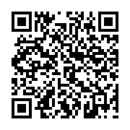 QR code for 419ICB
