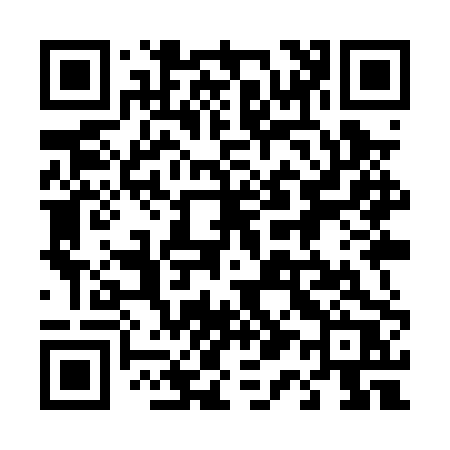 QR code for 419PPR