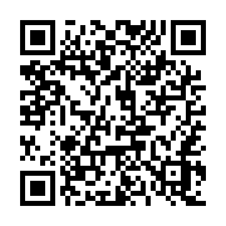 QR code for 419QEZ