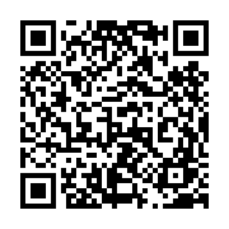 QR code for 419TFW