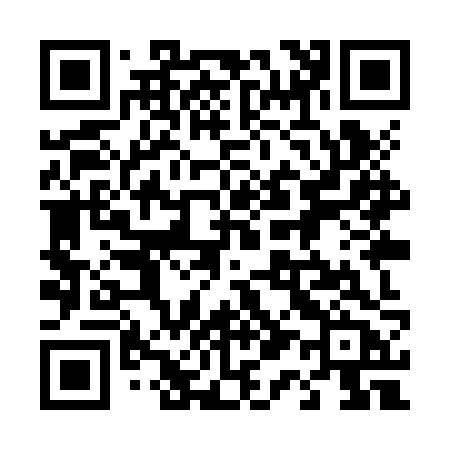 QR code for 419ZZB