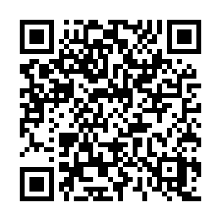 QR code for 425MSX