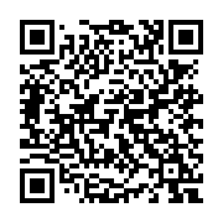 QR code for 425NEM