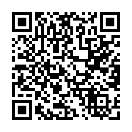 QR code for 425NYS