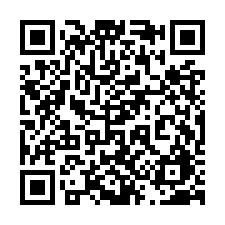 QR code for 431ORG