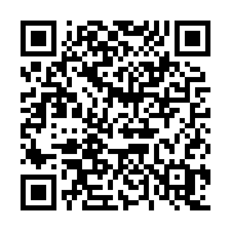 QR code for 441HSG