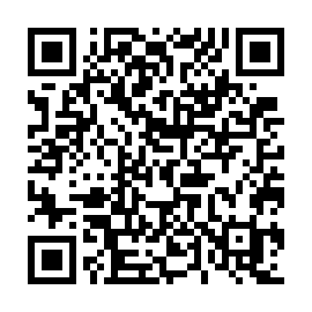 QR code for 447WGI