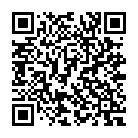 QR code for 448PEK