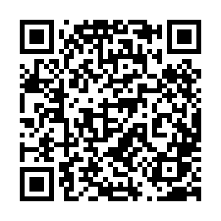 QR code for 450PLS