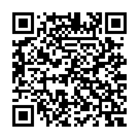 QR code for 452PMG