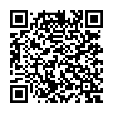 QR code for 453LLI