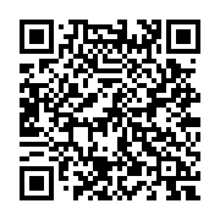 QR code for 453PUB
