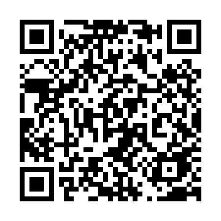 QR code for 456PPE