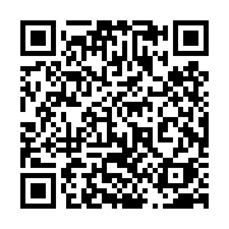 QR code for 460DSI
