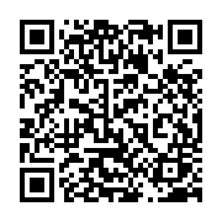 QR code for 461IOS