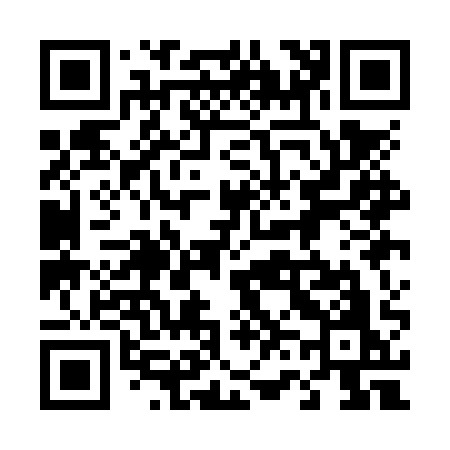 QR code for 461NQO